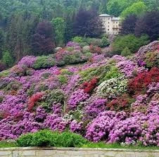 Riserva Naturale "Burcina" 