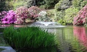 Riserva Naturale "Oasi Zegna" 